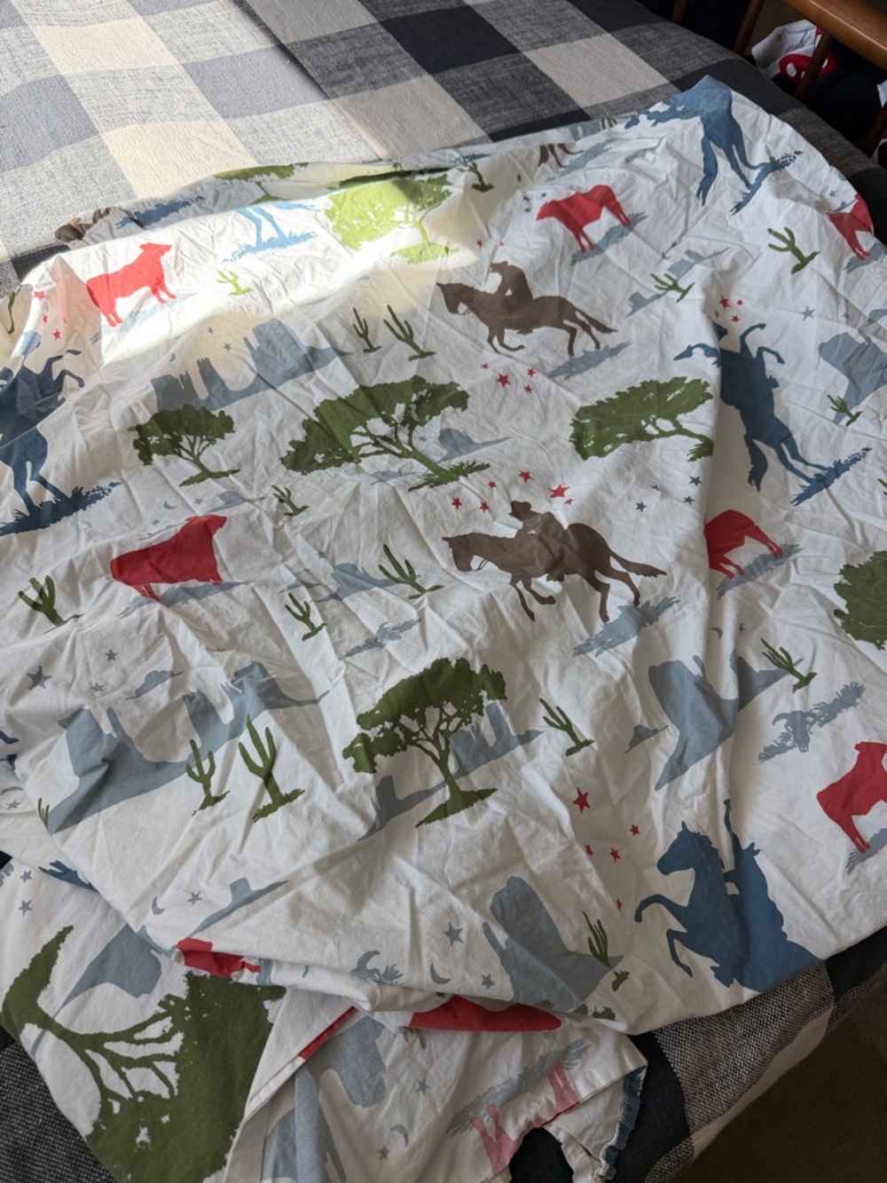 Pottery Barn Kids Cowboys - Multi Color